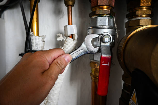 Best Plumbing Inspection Services  in Coaldale, PA